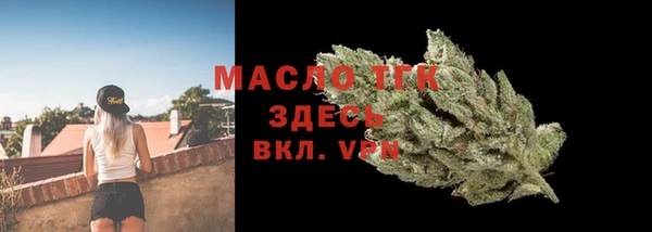 прущие грибы Каменка