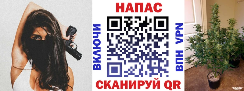 Марихуана планчик  где найти   блэк спрут ссылка  Берёзовский 